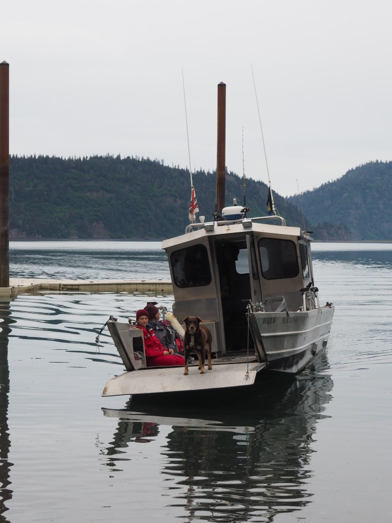 Water Taxi Pickup, complete with boat dog
