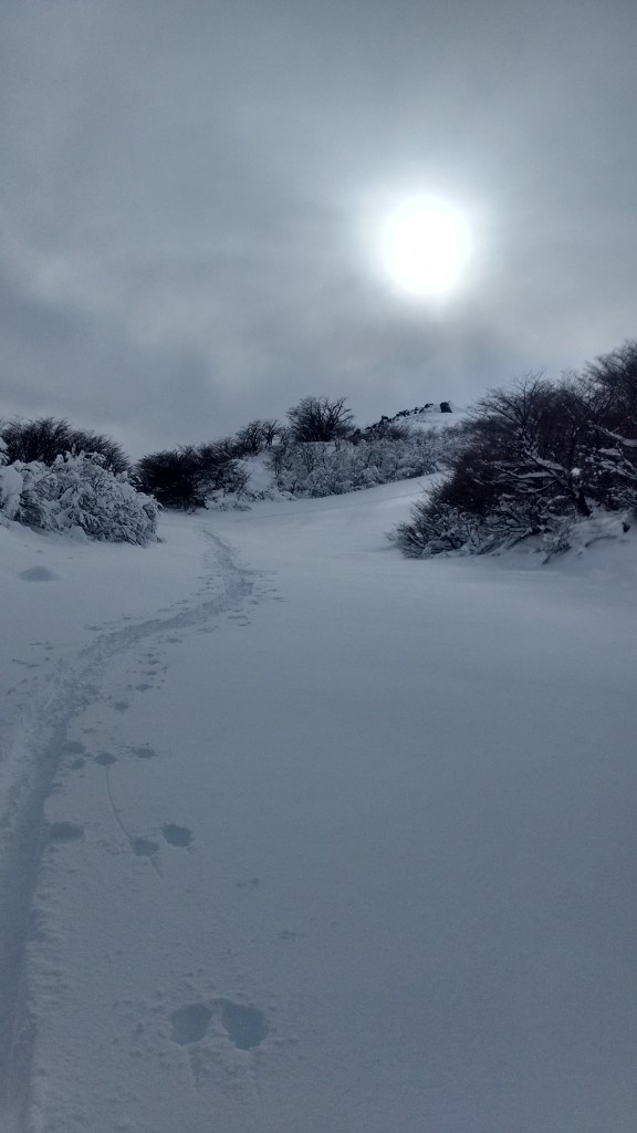 IMG_20160712_075413862_HDR